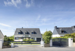 Clôture et portail à battant gris